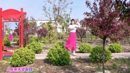 游园观景跳舞，广场舞《梅花泪》醉美心扉