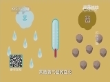 原来如此 《原来如此》 20140126 过招雾霾