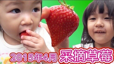 【中国爸爸】日本食玩 MA酱大嚎果园惊现蜜蜂
