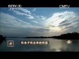 致富经 《致富经》 20150519 吃虫子吃出来的财富