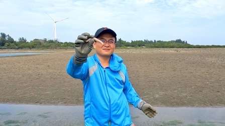 思乡渔夫赶海 老渔民掘地三尺挖沙虫，渔夫混在中间偷食，看看挖了多少货