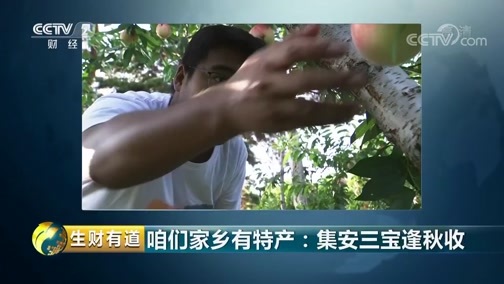 生财有道 《生财有道》 20181105 咱们家乡有特产：集安三宝逢秋收