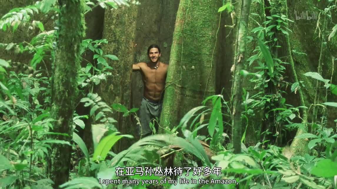 崎岖丛林