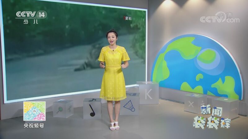 新闻袋袋裤 《新闻袋袋裤》 20200923