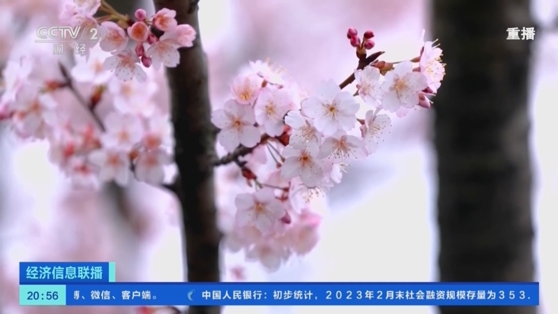 经济信息联播 《经济信息联播》 20230310