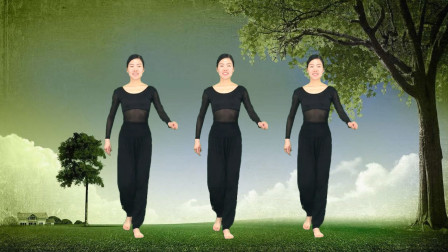最新流行19步广场舞《dj好嗨哟》大妈最爱步子舞！