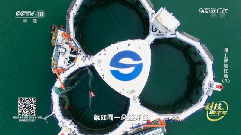 《创新进行时》 20210215 科技助丰年·海上智慧牧场（3）