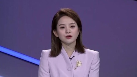 金牌调解 2024 究竟谁当家（下）