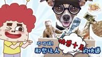 囧闻一箩筐 不可说 那些让人快感十足的快递 543