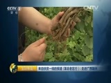 生财有道 《生财有道》 20160711 来自扶贫一线的报道（革命老区行）：走进广西融水