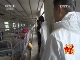 远方的家 《远方的家》江河万里行 第272集 钱塘江 品味金华 20150602