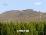 地理中国 《地理中国》 20160323 围场林海
