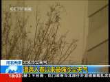 共同关注 共同关注 2010-03-20