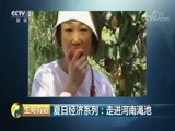 生财有道 《生财有道》 20180802 夏日经济系列：走进河南渑池