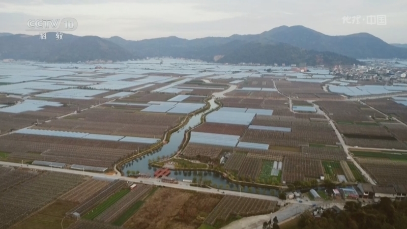 《地理·中国》 20260308 海岸线上的风景7