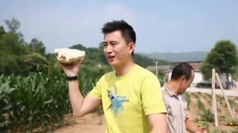 四海漫游 夏日游乐园 一暑最凉快
