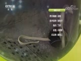 我爱发明 《我爱发明》 20170822 厨房好帮手