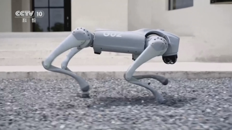 《创新进行时》 20260327 全能“狗”仔队