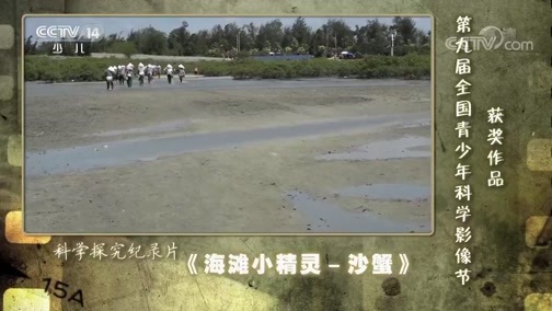 芝麻开门【央视】 《芝麻开门》 20190715