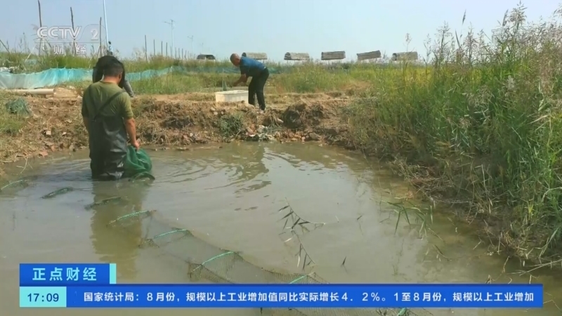 正点财经 《正点财经》 20220916 17:00