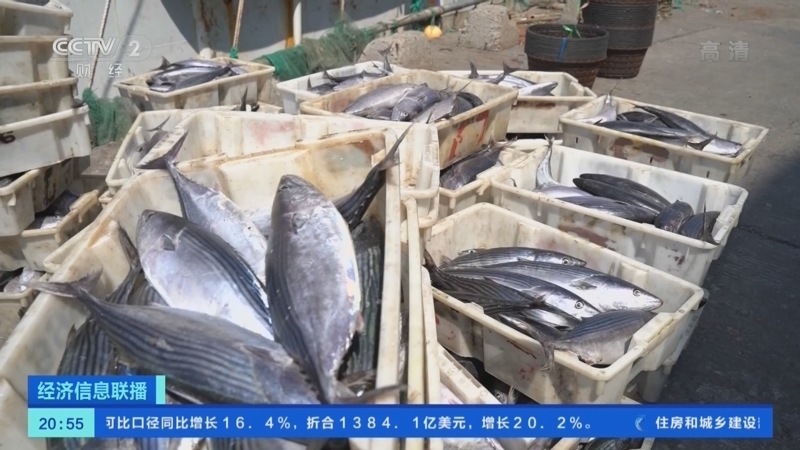 经济信息联播 《经济信息联播》 20220919