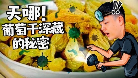 2022XFun吃货俱乐部 天哪！葡萄干深藏的秘密