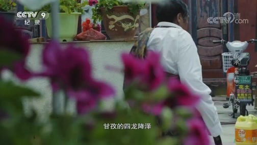 《传承》第三季 第八集：执念