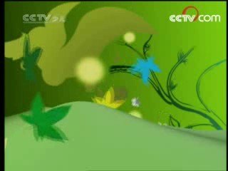 绿野寻踪 绿野仙踪 2008年 第16期