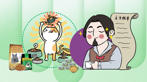 喵客帝国 猜猜看！养猫要花费多少钱？