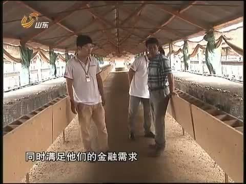 山东新闻联播 《山东新闻联播》 20140713