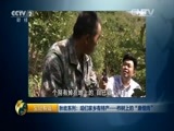 生财有道 《生财有道》 20151105 秋收系列：咱们家乡有特产——柞树上的“唐僧肉”