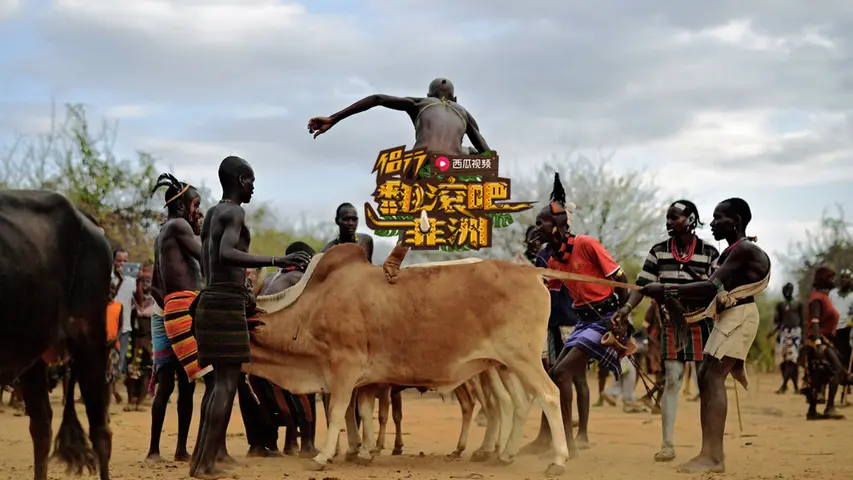 《侣行·翻滚吧非洲》第3期