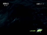 人与自然 《人与自然》 20161113 绝处逢生——怒海覆舟（下）