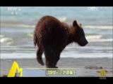 中国电影报道 《中国电影报道》 20160816