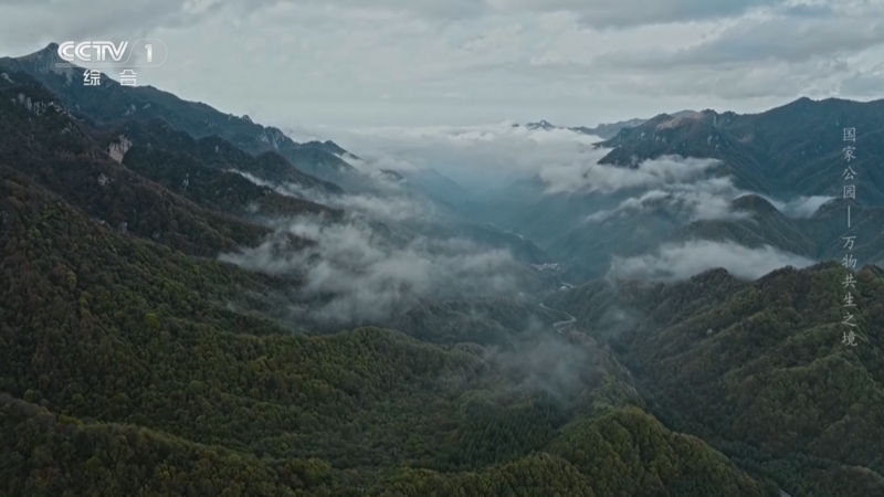 《国家公园——万物共生之境》 第3集 生命交响