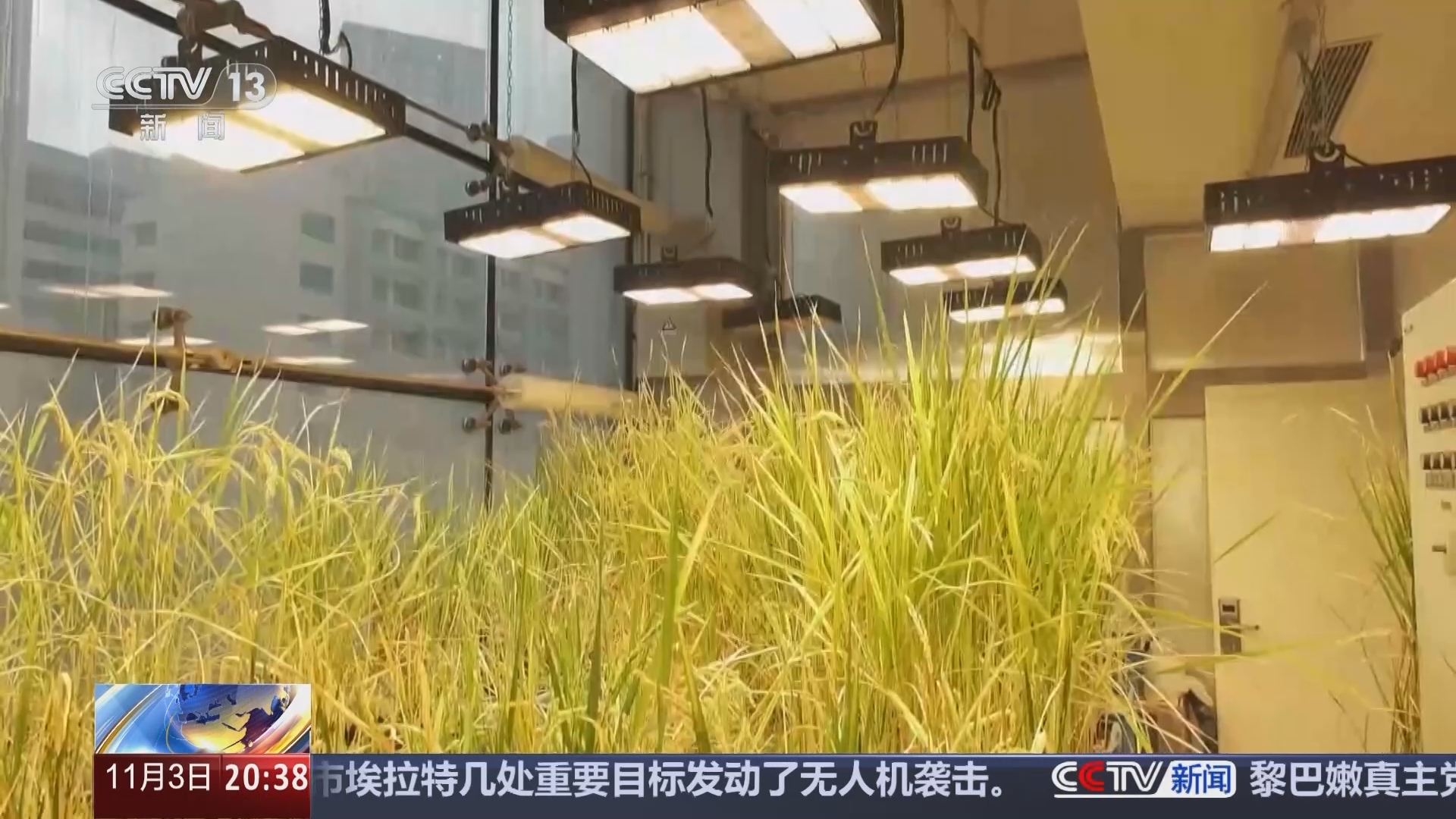 东方时空 《东方时空》 20241103
