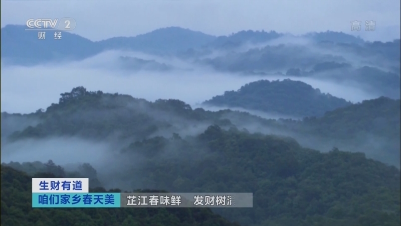 生财有道 《生财有道》 20220321 咱们家乡春天美——芷江春味鲜 发财树满山