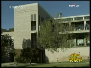 新闻袋袋裤 新闻袋袋裤 2008年 第266期