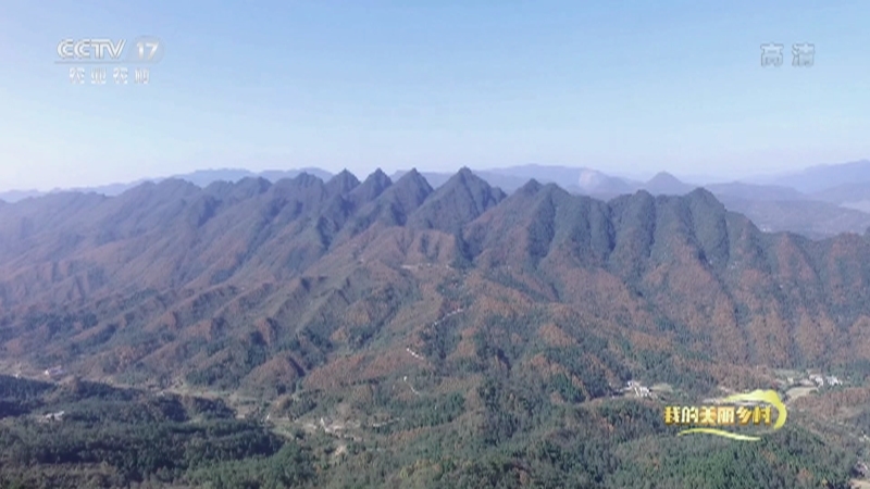 《我的美丽乡村》 20210722 五指山下寻“龙”记