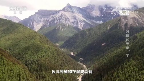 地理中国 《地理中国》 20181122 秘境寻踪·消逝的“天梯”下