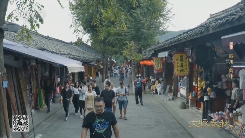 文脉春秋 《文脉春秋·历史文化名城篇》 第2集 四川·阆中