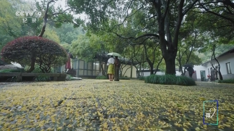 《城市花季 杭州桂花》 第1集 杭城桂香月中来