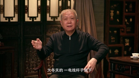 观复嘟嘟丁酉版 三人成虎不成喵
