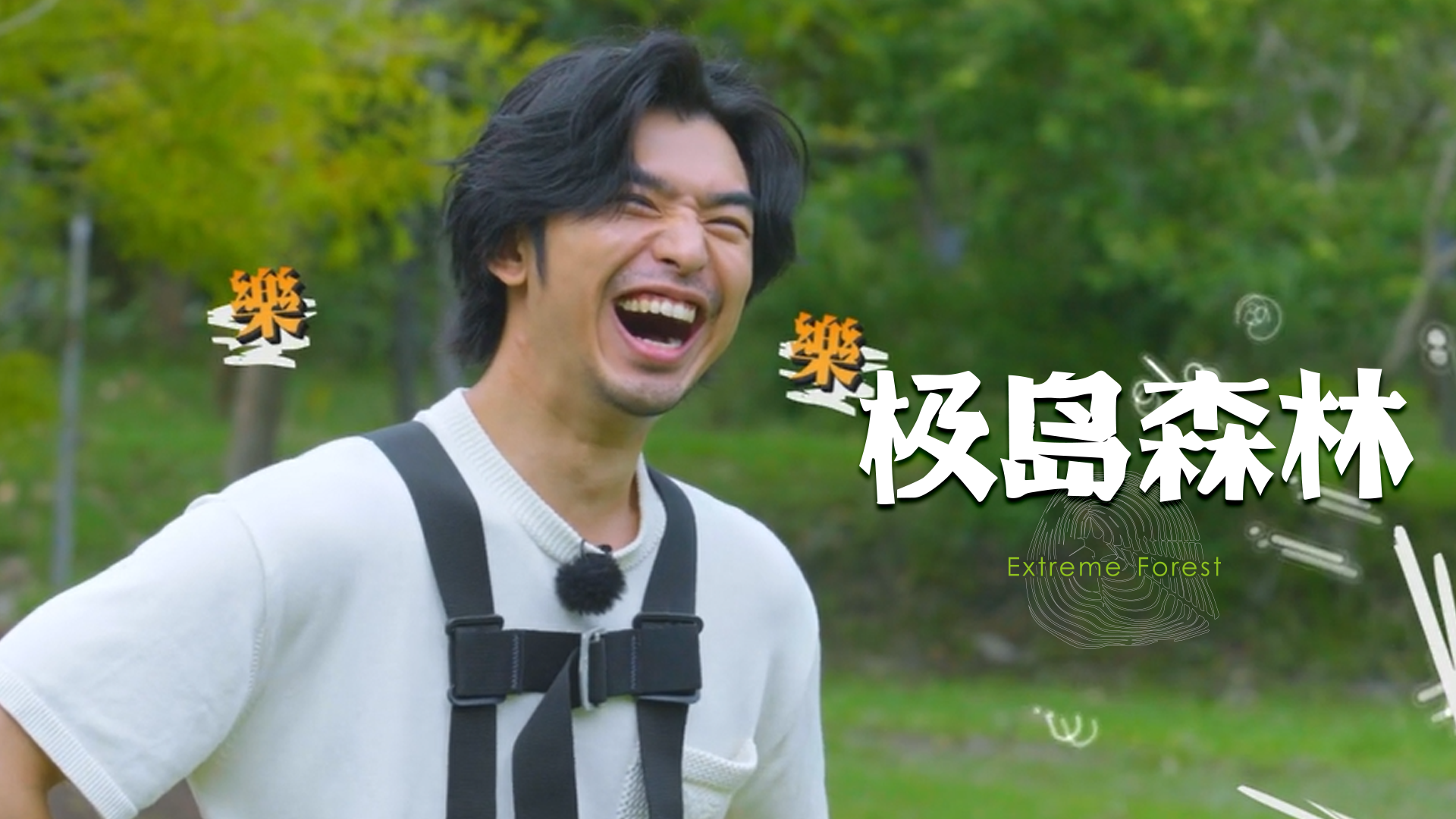 极岛森林 5