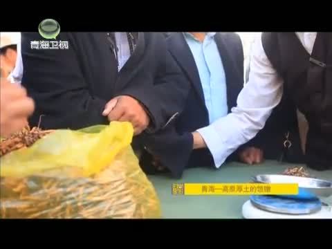时尚旅游 《时尚旅游》 20150303 青海——高原厚土的馈赠