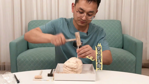 考古挖出三角龙