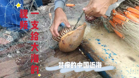 南澳岛赶海日记 贫瘠的中国近海资源，这是大海永远的伤痕，也是渔民的悲哀