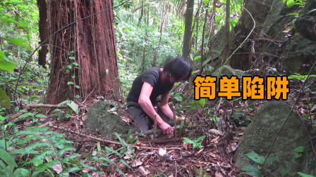 原始丛林人苏门答腊 第二季 越南丛林荒野求生，用树枝制作简易陷阱，效果还真不错