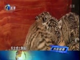 12点报道 《12点报道》 20170705