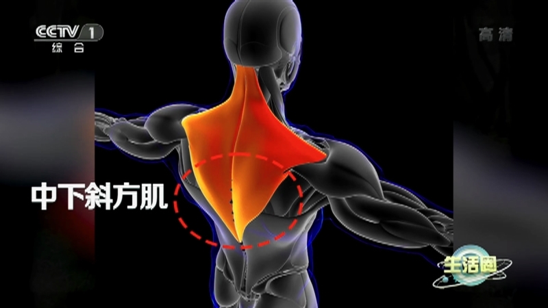 生活圈 《生活圈》 20221013